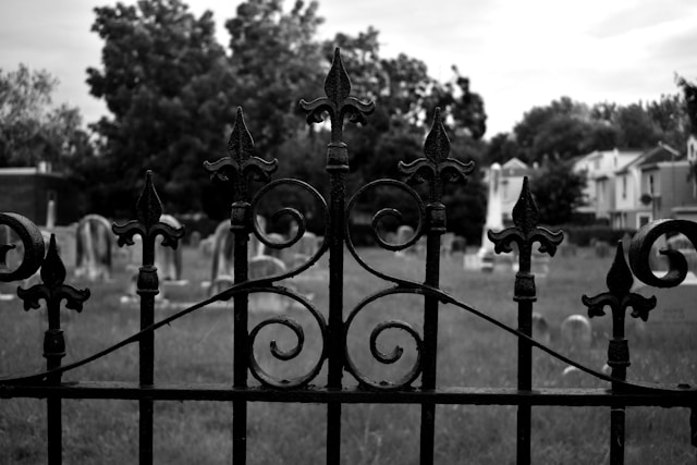 Когда ставят ограду на могилу после похорон? | Век