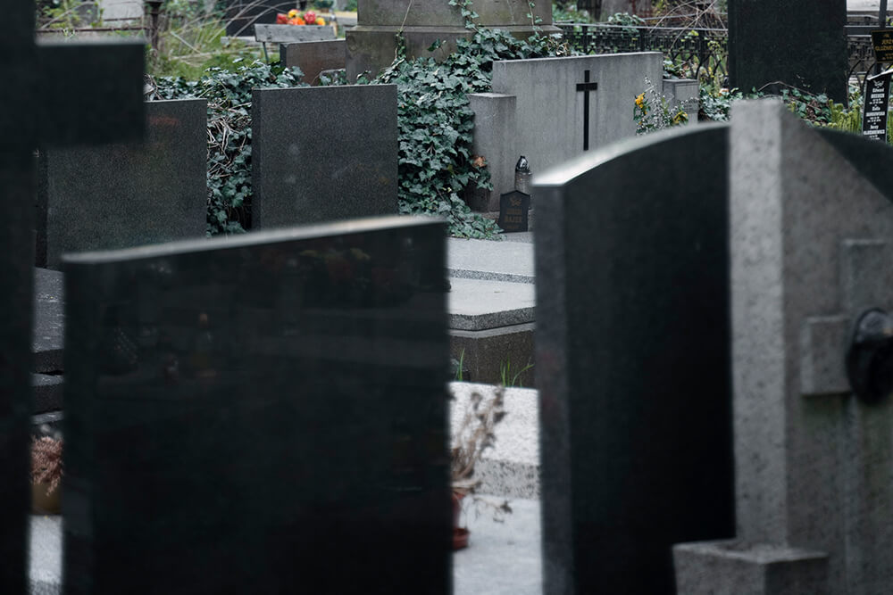 Поиск захоронений на кладбище | Век